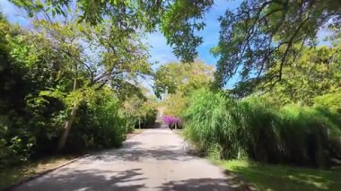 Lizbon şehir parkı POV yazı yeşillik parlak güneş ışığı Avrupa 'yı geziyor tatil mimarisi