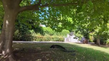 Güneşli Lizbon kamu parkı yolu POV yeşil ağaçlarda yürüyor Avrupa tatil gezisi mimarisi sahnesi