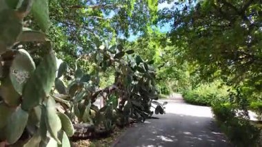 First person POV Lisbon summer park stroll sunshine trees green Europe holiday travel architecture