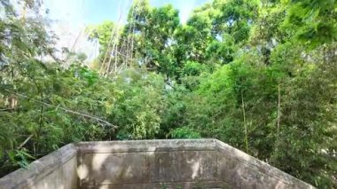 Lisbon sunny day park walk POV green foliage summer Europe travel city architecture holiday concept