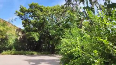 Walking Lisbon park green trees summer sunshine POV holiday travel background Europe architecture
