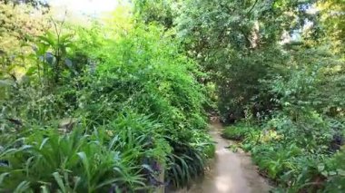 Sunny day Lisbon public park path POV walk green trees summer vacation Europe travel city architecture