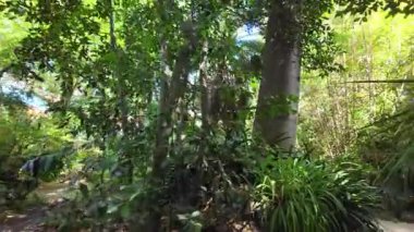 First person view Lisbon public park summer walk trees sunlight Europe city architecture travel scene