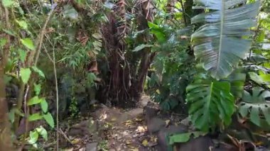 Walking Lisbon sunny park path POV summer green foliage Europe travel holiday city architecture