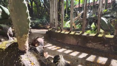 Lisbon park POV summer stroll green trees bright sunlight Europe travel city holiday architecture