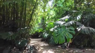POV Lisbon park walk sunshine greenery summer Europe travel background city architecture concept