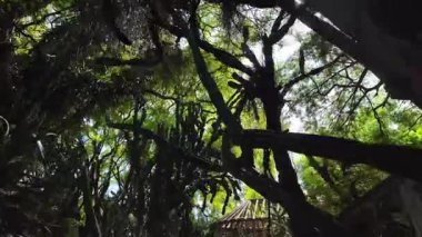 Lisbon summer POV park walk trees sunlight Europe travel background city vacation architecture