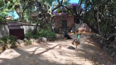 Walking Lisbon park POV summer green foliage sunshine Europe holiday background city architecture