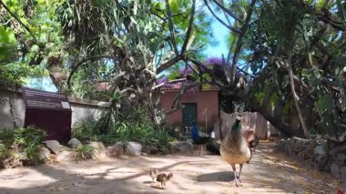POV Lisbon sunny day park greenery walk Europe city vacation travel architecture background