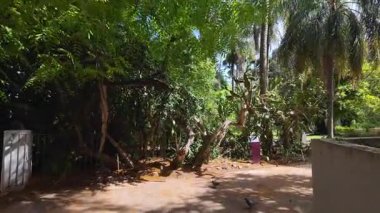 Sunny Lisbon park POV walk path green trees summer Europe holiday architecture travel concept