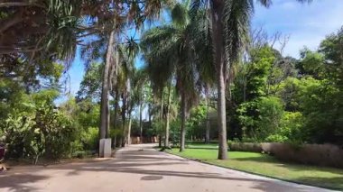 Lisbon public park stroll POV summer green foliage sunshine Europe city travel background concept