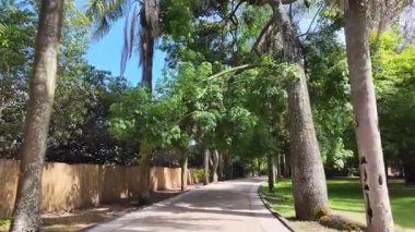 Lisbon summer park greenery POV stroll sunshine trees Europe city vacation travel background