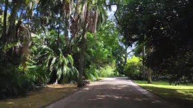 Sunny Lisbon city park green trees POV walking path Europe holiday travel architecture concept