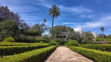 Walking through sunny Lisbon park POV green trees Europe travel background architecture holiday
