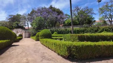 Lisbon park POV walk sunshine green foliage summer day European travel background architecture