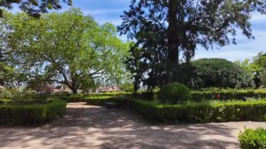 Lisbon summer day POV park path trees blue sky sunlight Europe holiday travel architecture concept