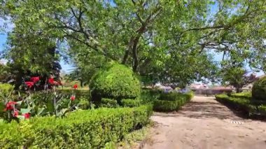 Lisbon park path with trees sunny summer day POV walk Europe vacation travel concept background