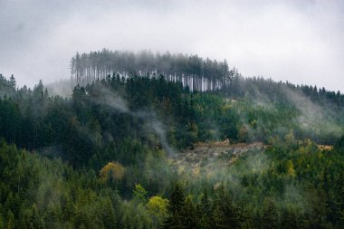 sonbahar dağ orman dağlarda