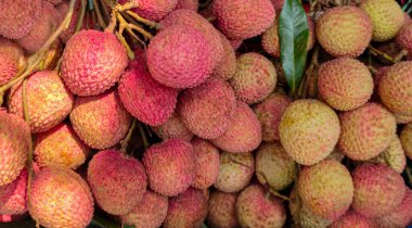 Taze Lychee arkaplan fotoğrafı, kırmızı pembe renk