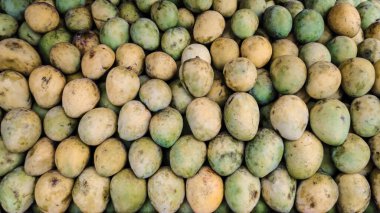 Markette organik olgun mango satışı yakın plan fotoğraf, lezzetli sağlıklı tatlı ve yeşil mango