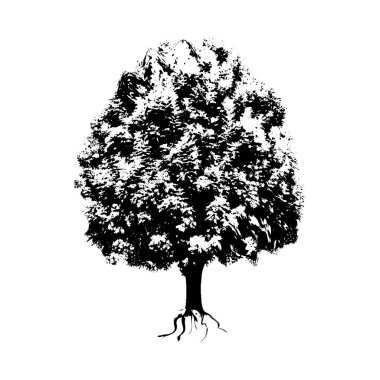 siyah ve beyaz ağaç ve yeşil yaprak vektör sanat tasarımı arka plan, ağaç vektör sanatı, siyah renk ağacı, set, yapraklar dizayn, yaprak, palmiye ağacı