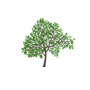 ağaç ve yeşil yaprak sanat tasarımı, ağaç vektör sanatı, siyah renk ağacı, set, yapraklar set tasarımı, yaprak deseni 