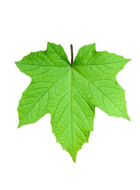 Mavi gökyüzü, beyaz bulutlar gökyüzünde kayboluyor, güneş bulutların arasından parlıyor bu resimde, dramatik gökyüzü bulutları