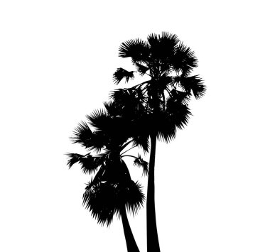 Beyaz arka planda palmiye ağaçlarının siluetleri. Vektör illüstrasyonu