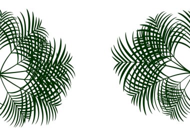 Tropikal yapraklar bitki ikonu vektör illüstrasyon tasarımı vektör çizimi tasarımı, beyaz arkaplanda izole edilmiş yeşil palmiye ağacı