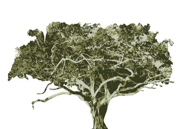 büyük bir ağacın siyah beyaz fotoğrafı, beyaz arkaplan vektör sanatı üzerinde mango ağacı silueti, siyah renk