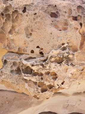 Atlantik Okyanusu kıyıları