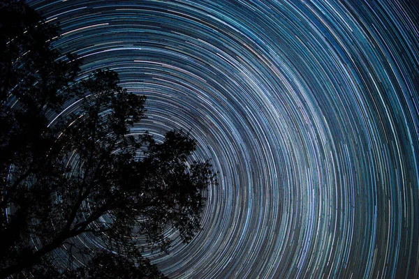 Senderos Estrellas Espiral Cielo Nocturno Bosque Nacional Sequoia — Foto de Stock