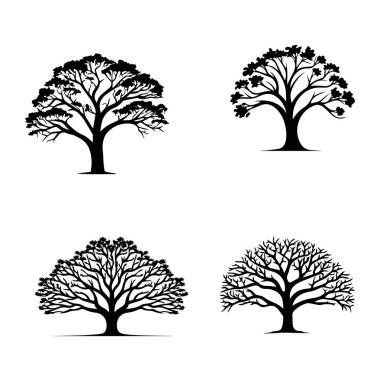 Ağaç simgesi. Beyaz arka planda siyah ağaç silueti. Vektör illüstrasyonu