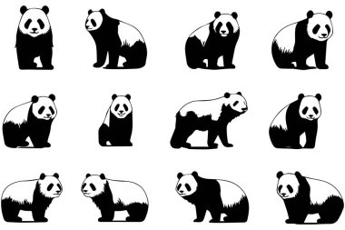 Panda simgesi seti. Beyaz arkaplanda bir pandanın vektör çizimi.