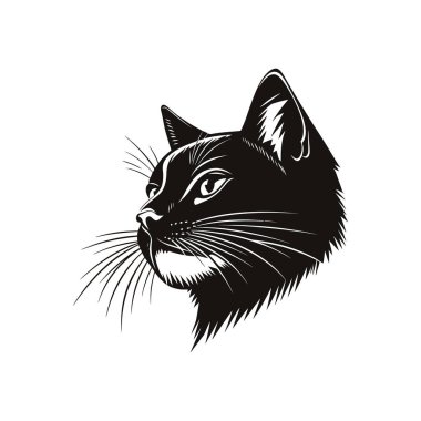 Vektör formatında yapılmış siyah kedi kafası tasviri. Ayrıntılı çizgi çalışması, tasarım kullanımı için uygun, temiz, beyaz bir arkaplan ile kürk ve bıyıkların dokusunu yakalar.