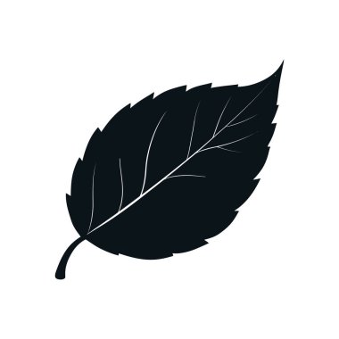 Tırtıklı kenarları ve belirgin damarları olan tek bir siyah yaprağın vektör çizimi, ekolojik tasarımlarda kullanılmak üzere beyaz bir zemin üzerinde izole edilmiş..