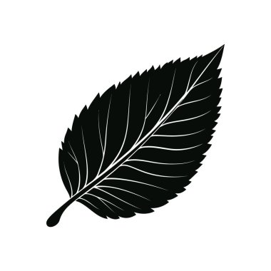 Belirgin damarları olan tek bir siyah yaprak içeren ayrıntılı vektör simgesi, temiz beyaz bir arkaplanda izole edilmiş. Botanik çizimler ve minimalist tasarımlar için ideal.