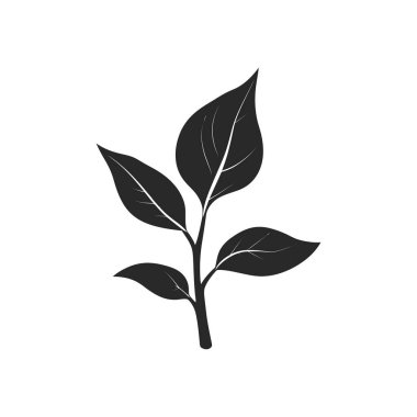 Bu minimalist vektör görüntüsü, beyaz bir zemin üzerine kurulmuş, damarları ve sapı olan bir siyah yaprak ikonuna sahiptir. Doğanın, büyümenin ya da basitliğin sembolü olarak kullanışlı.