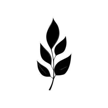 Bu izole edilmiş siyah yaprak vektör çizimi beyaz arka planda narin yaprakları olan zarif bir botanik tasarımı içeriyor, çeşitli yaratıcı projeler için mükemmel..