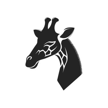 Zürafa baş illüstrasyonunun silüeti. Basit vektör tasarımı beyaz bir arkaplanda, zürafa profili ve dokulu boyun detayı ile izole edilir. 156 karakter.