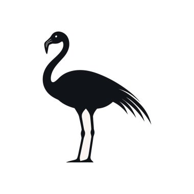 Bu minimalist vektör sanatı, saf siyah bir siluet içinde, temiz beyaz bir arkaplana karşı bir flamingo sunar, kuş formunun basit ama zarif bir temsilini sunar..
