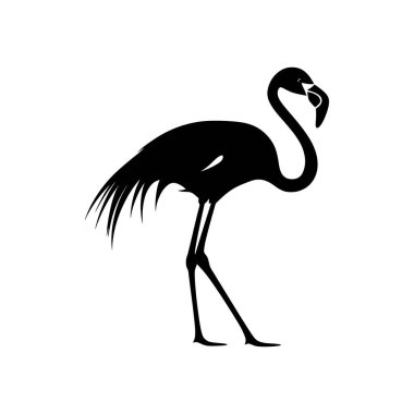 Bu vektör beyaz bir arkaplanda zarif bir şekilde duran bir flamingoyu tasvir ediyor. Basitleştirilmiş tasarım onu çeşitli tasarım projeleri için çok yönlü hale getirir..