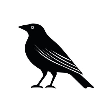 Küçük bir kuşun siyah vektör silueti huzur içinde duruyor. Detaylı tüyleri ve basit bir gözü var. Temiz, beyaz bir arka plan ile zıt, çok yönlü kullanım için izole edilmiş..
