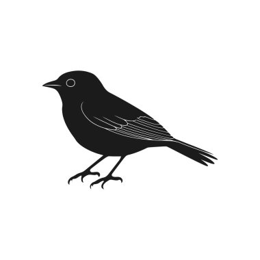 Ayakta duran küçük bir kuşun basit ve minimal siyah çizimi. Logolar, ikonlar, dekorasyonlar ya da vahşi yaşam ve kuş gözlemciliği hakkında eğitici materyaller için mükemmel. Beyaz arkaplan ile vektör resmi.