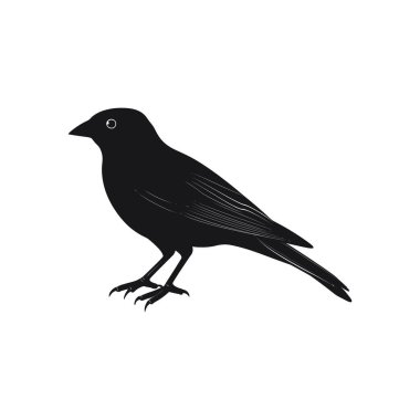 İzole edilmiş bir monokrom vektör simgesi, tasarım projeleri ve yazdırma medya grafikleri için uygun beyaz bir arkaplan karşısında, profilde bir kuş, tipik bir siyah silueti gösterir.