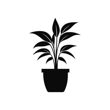 Tasarım projelerinde kullanılmak üzere temiz beyaz arkaplana karşı koyu siyah uzun yapraklı bir saksı bitkisinin minimalist vektör çizimi.