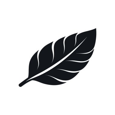 Ayrıntılı siyah tüy tüyü vektör grafiği beyaz arkaplanda. Yaratıcı projelerde veya yerleşimlerde minimalist logo simgesi veya tasarım ögesi olarak kullan.