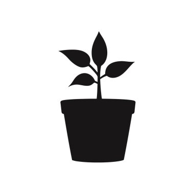 Tasarım ve dekorasyon için uygun, beyaz bir arka plana karşı bir tencerede büyüyen beş yapraklı bir bitkinin siyah silüetini içeren tek bir vektör simgesi.
