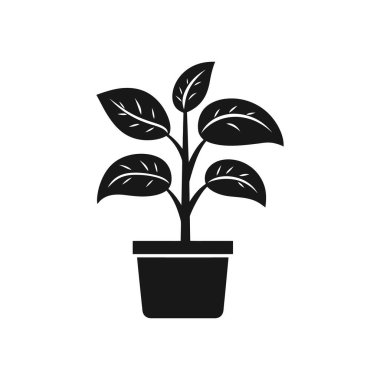 Beyaz arka planda siyah silueti olan saksı bitkisi simgesi. Bitki kare bir tencerede, büyük yaprakları ve bir gövdesi var..