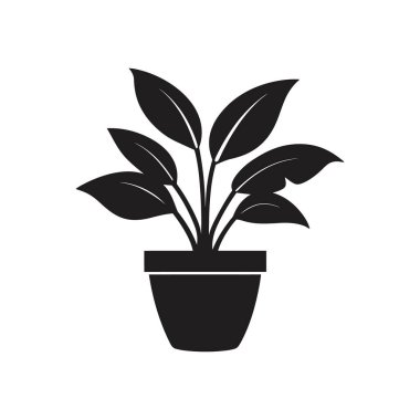 Beyaz arka planda vektör formatında büyük yapraklı bir saksı bitkisinin silueti çizimi. Doğa, ev dekorasyonu veya bahçe temaları için basit, zarif bir simge.